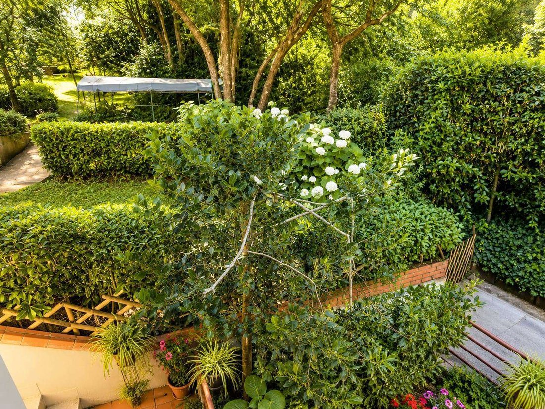 Villa in Le Case San Romolo, Bagno A Ripoli, Tuscany 4 - 18331808