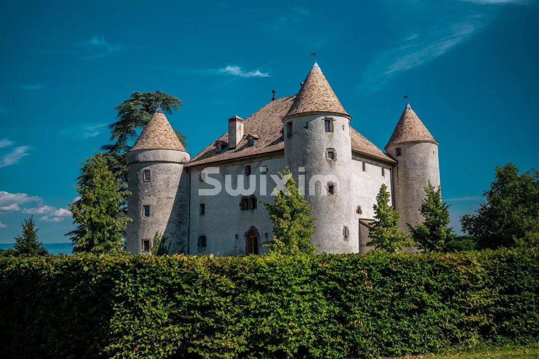 Castle in Lully, Auvergne-Rhône-Alpes, France 5 - 18328243
