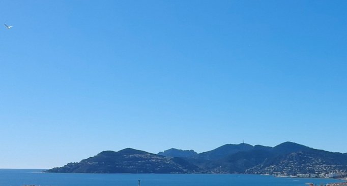 House in Cannes, Provence-Alpes-Côte d'Azur, France 1 - 18330965
