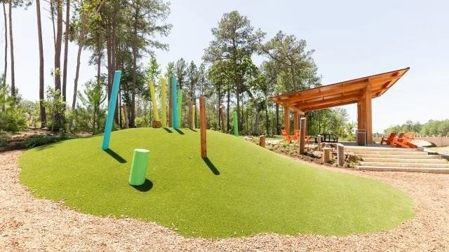 House in Conroe, Texas, United States 4 - 18331187