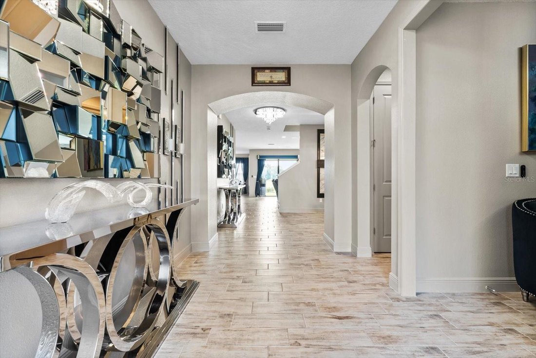 House in Riverview, Florida, United States 4 - 18330769