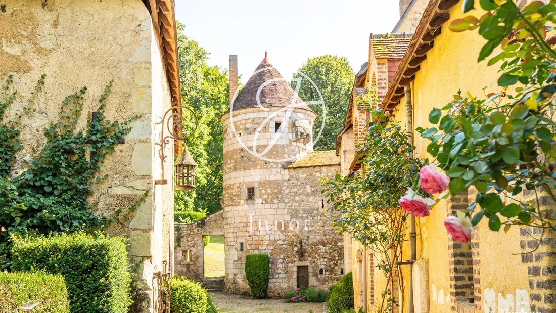 Castle in Gerard Yvon, Vendôme, France 1 - 17534021
