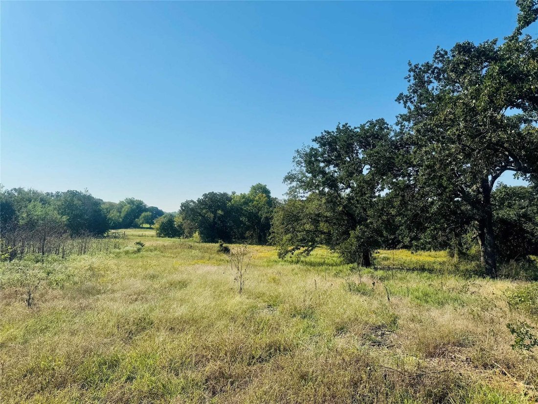 Land in Lantana, Texas, United States 4 - 15610210