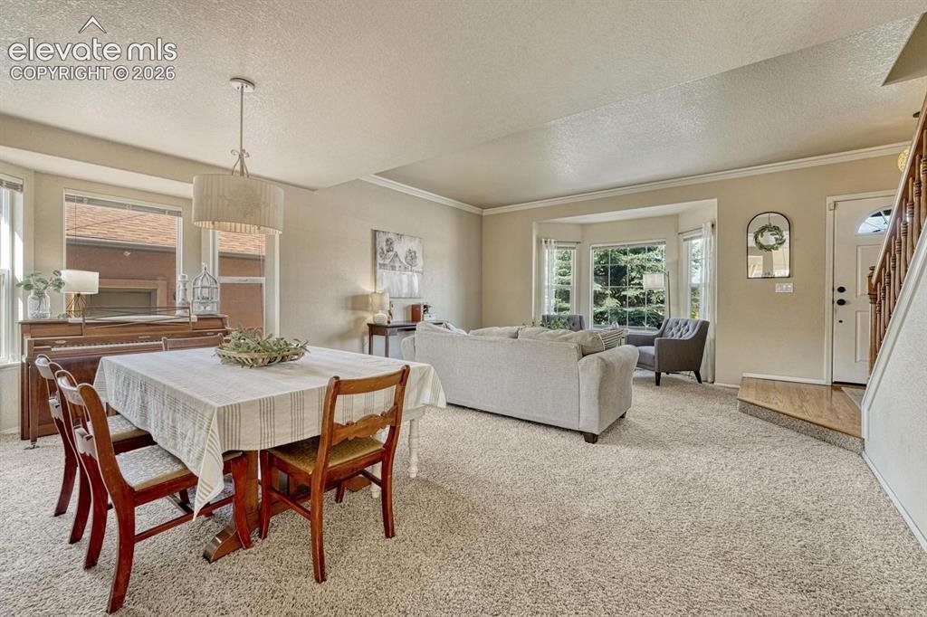 House in Colorado Springs, Colorado, United States 5 - 18328949