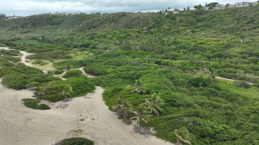 Land in Isabela, Isabela, Puerto Rico 2 - 18330116
