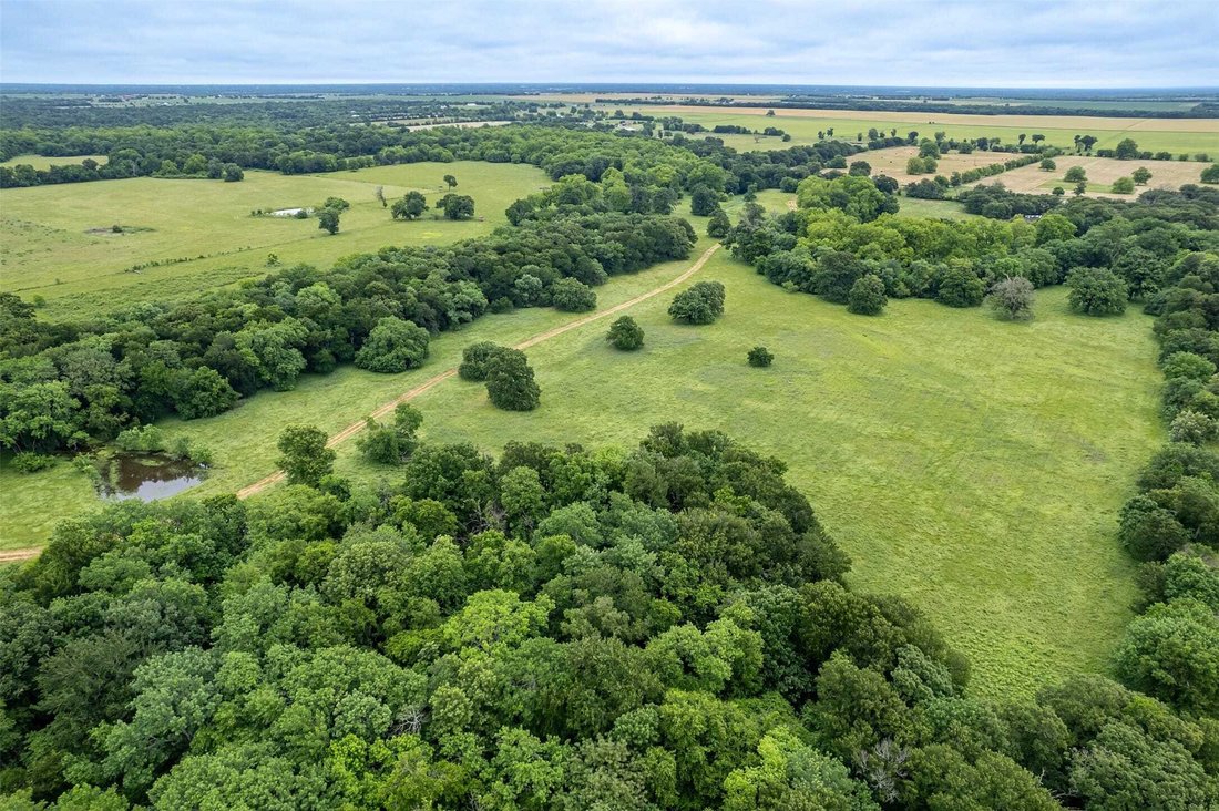 Land in Wolfe City, Texas, United States 4 - 17941837