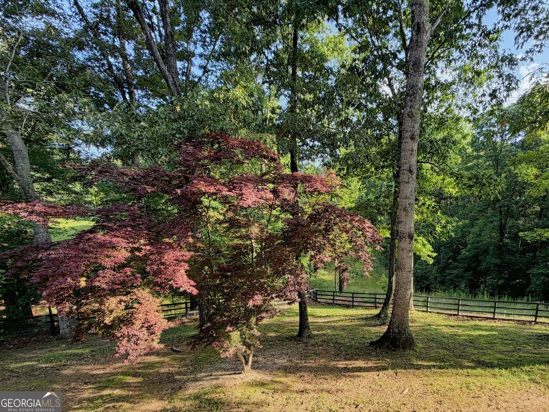 House in Lula, Georgia, United States 5 - 18331043