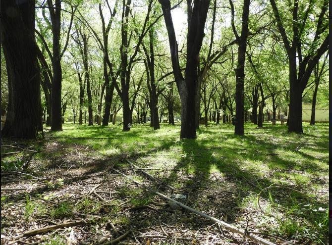 Land in Rio Ceballos, Cordoba, Argentina 1 - 18328307