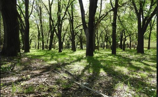 Terreno a Rio Ceballos, Córdoba, Argentina 1