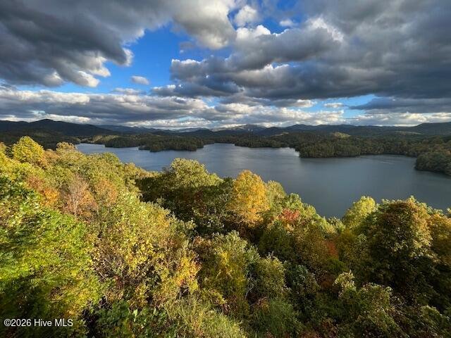 House in Robbinsville, North Carolina, United States 3 - 18327420