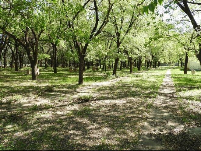 Land in Rio Ceballos, Cordoba, Argentina 5 - 18328307