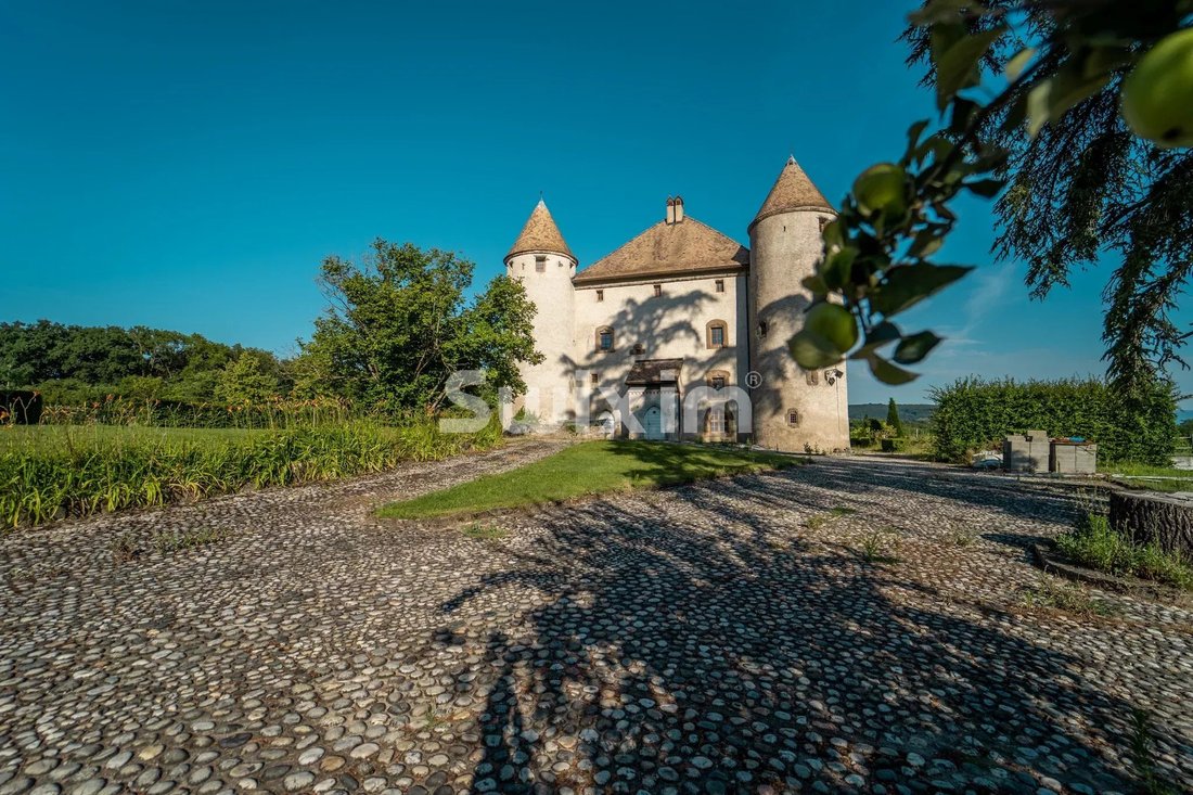 Castle in Lully, Auvergne-Rhône-Alpes, France 2 - 18328243