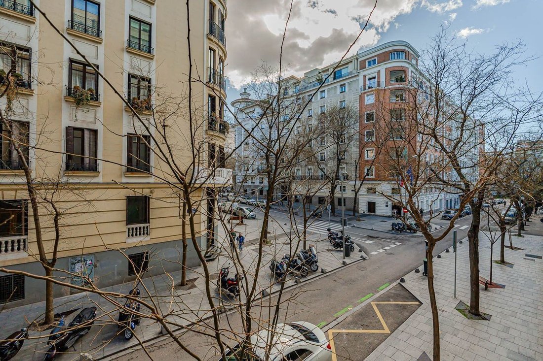 Apartment in Barrio Salamanca, Madrid, Spain 5 - 18330653