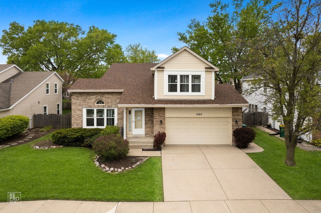 House in Buffalo Grove, Illinois, United States 1 - 18327576