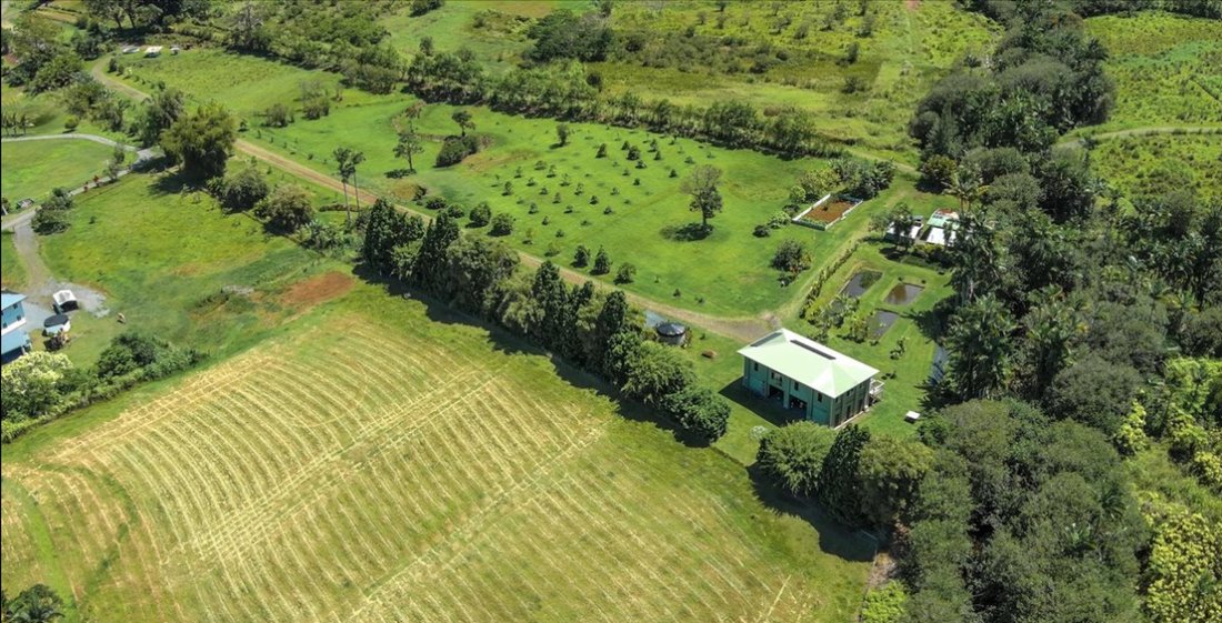 House in Pepeekeo, Hawaii, United States 3 - 18328825