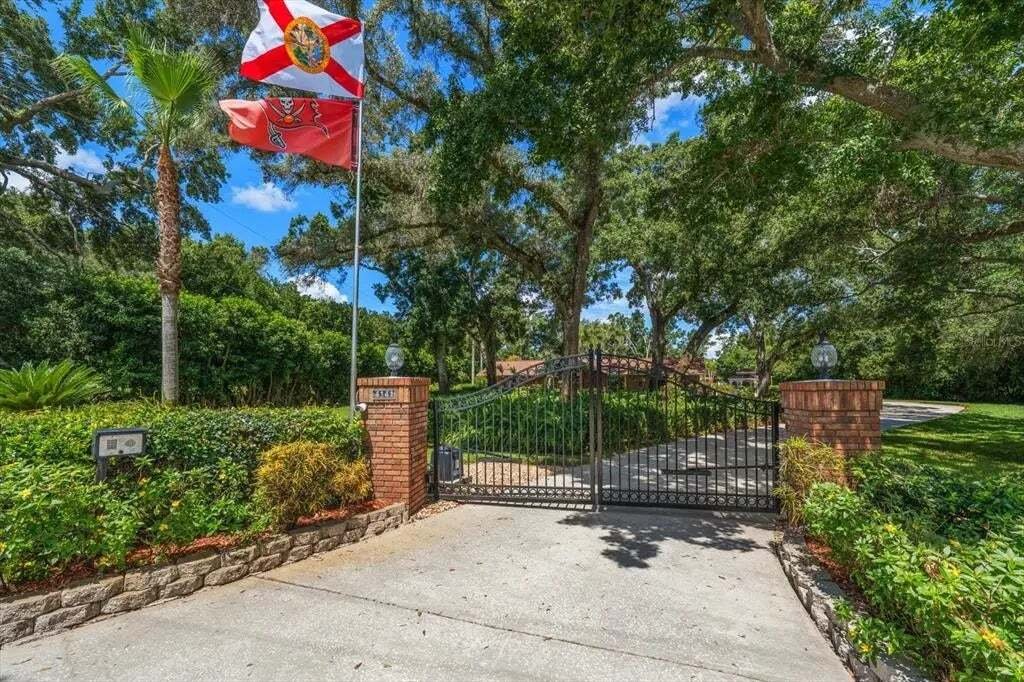 House in Palm Harbor, Florida, United States 5 - 18332182