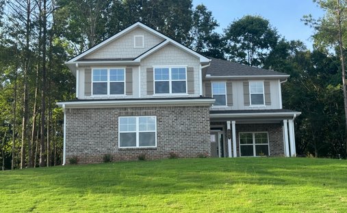 House in Pendergrass, Georgia, United States 1