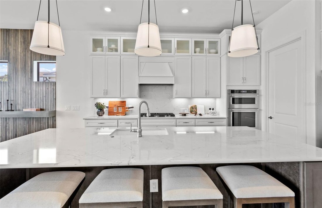 House in Bradenton, Florida, United States 4 - 18330721