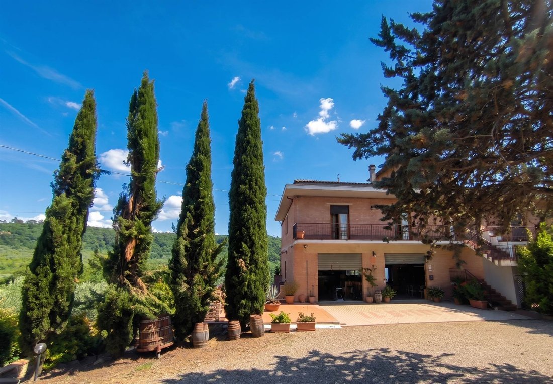 Pino - Sciano - San Donnino, Certaldo, Tuscany 3 - 18331814