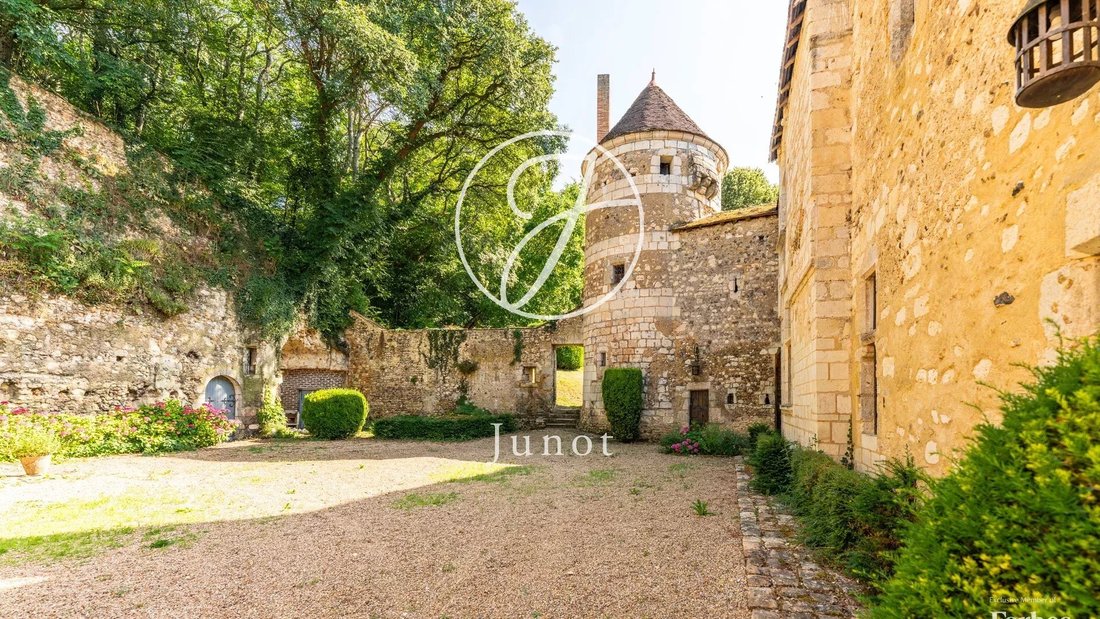 Castillo en Bonneveau, Centro-Val de Loira, Francia 5 - 17534021