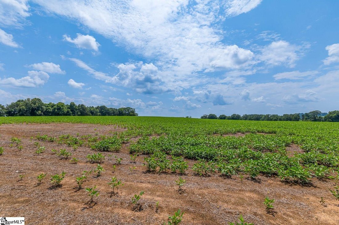 Farm Ranch in Inman, South Carolina, United States 5 - 16754362