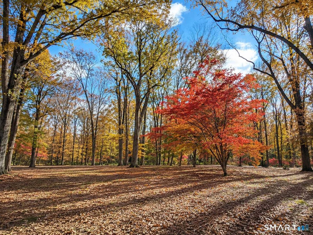 House in New Canaan, Connecticut, United States 3 - 18246602