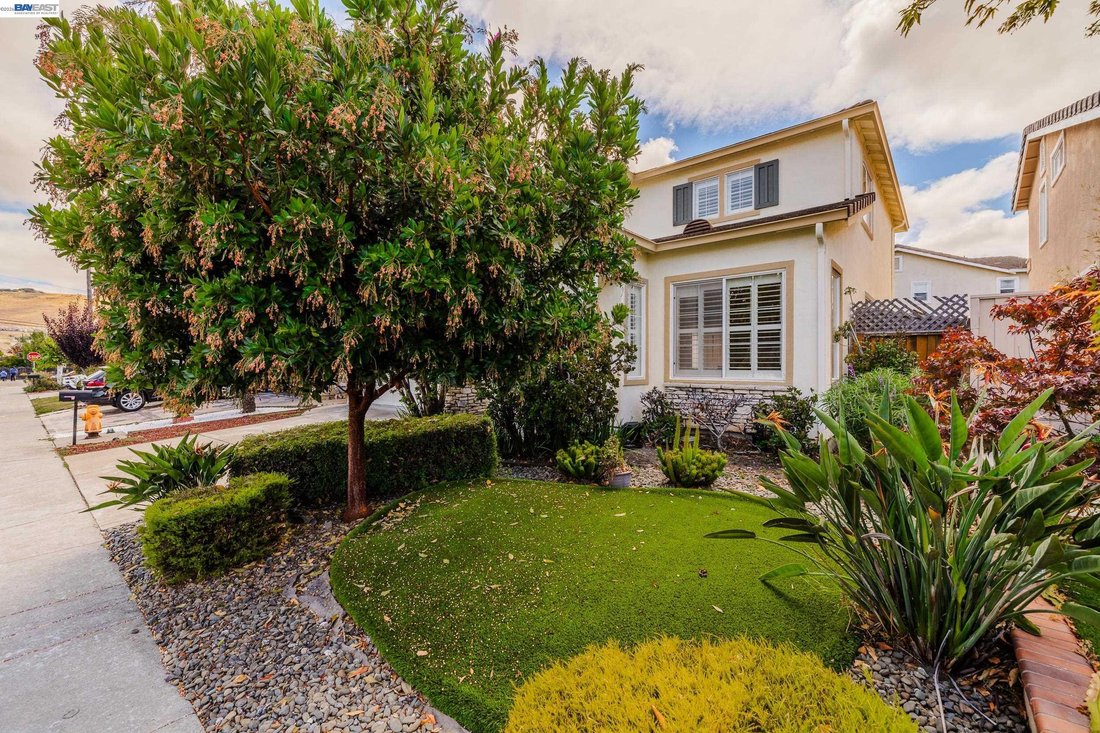 House in Hayward, California, United States 3 - 18330497