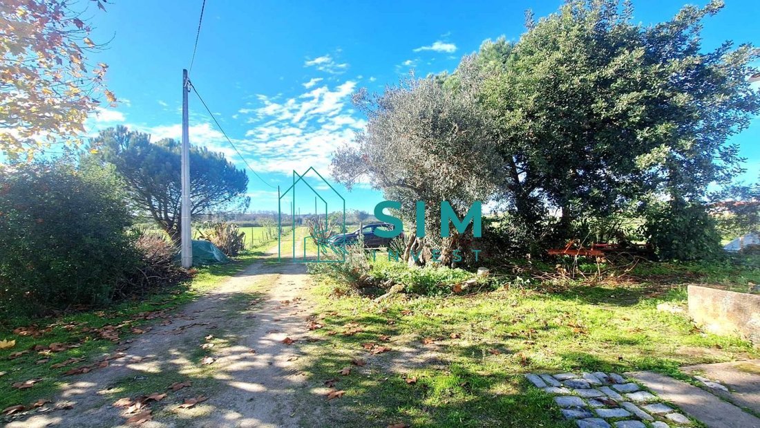 Farm Ranch in Canaviais, Évora District, Portugal 3 - 18328573