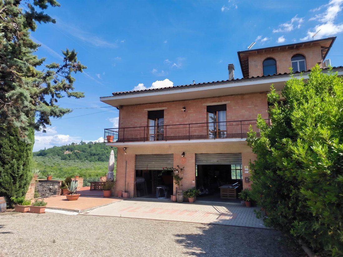 Pino - Sciano - San Donnino, Certaldo, Tuscany 4 - 18331814
