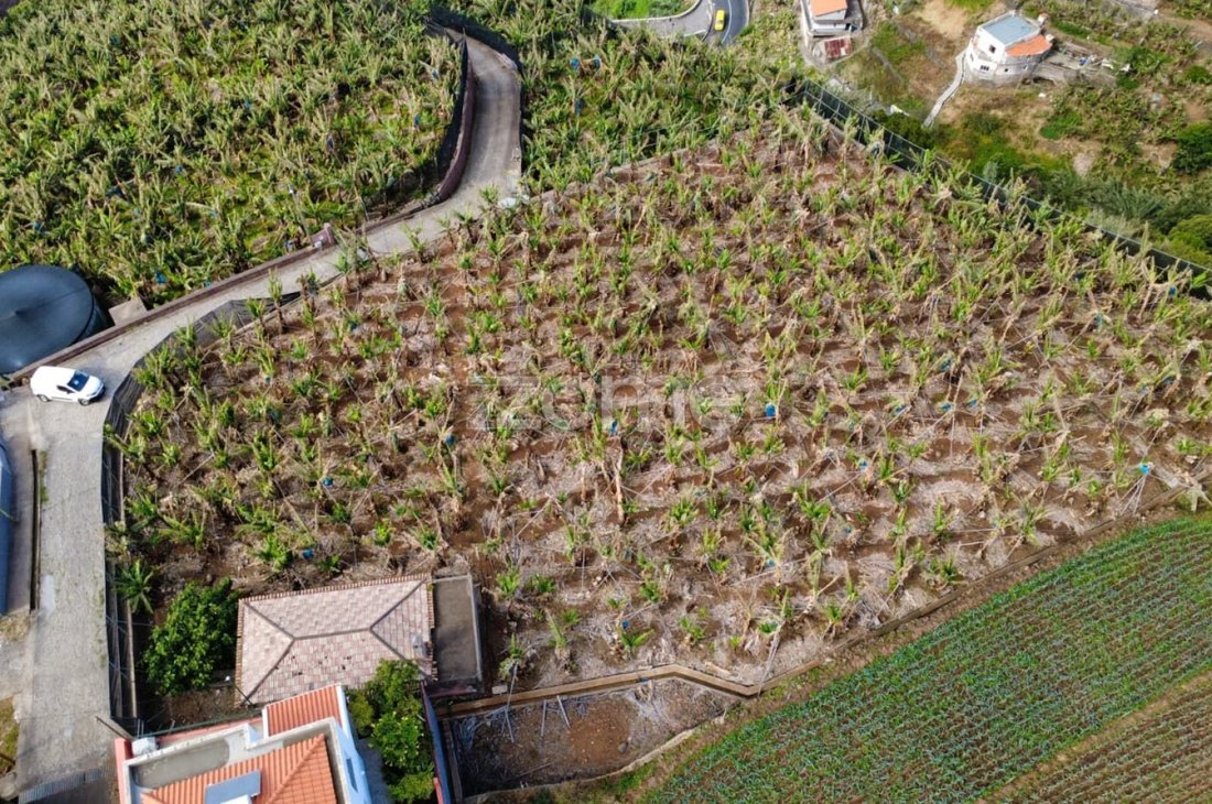 Land in Ponta do Sol, Madeira, Portugal 5 - 18331869