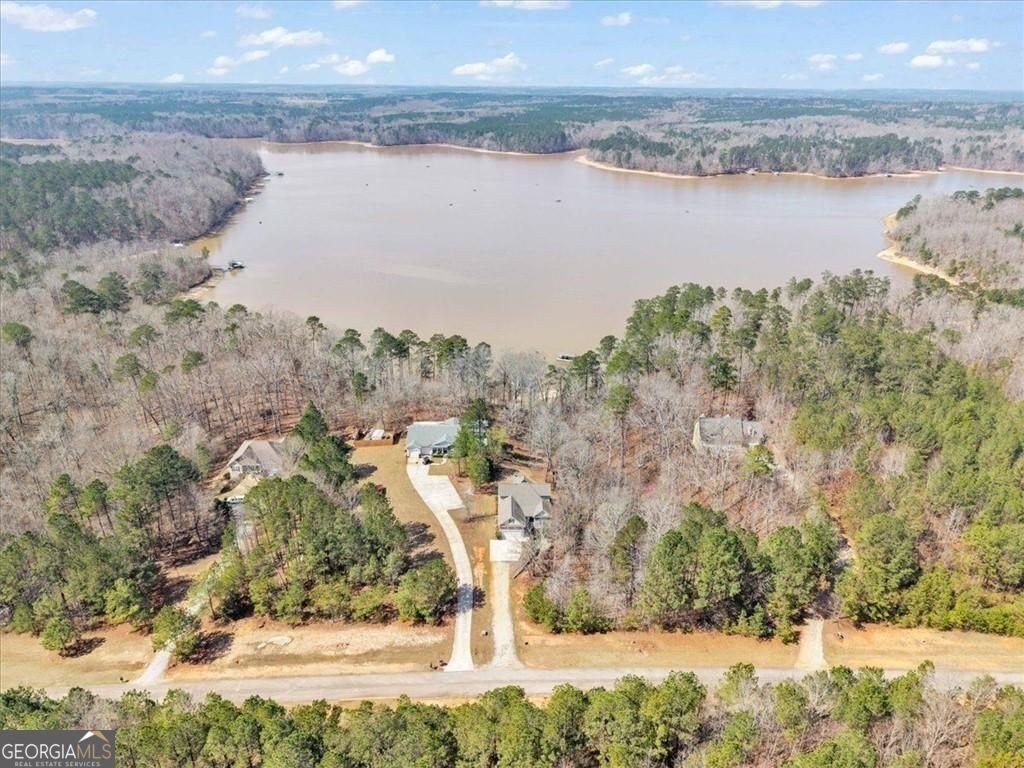 House in Lincolnton, Georgia, United States 1 - 17516345