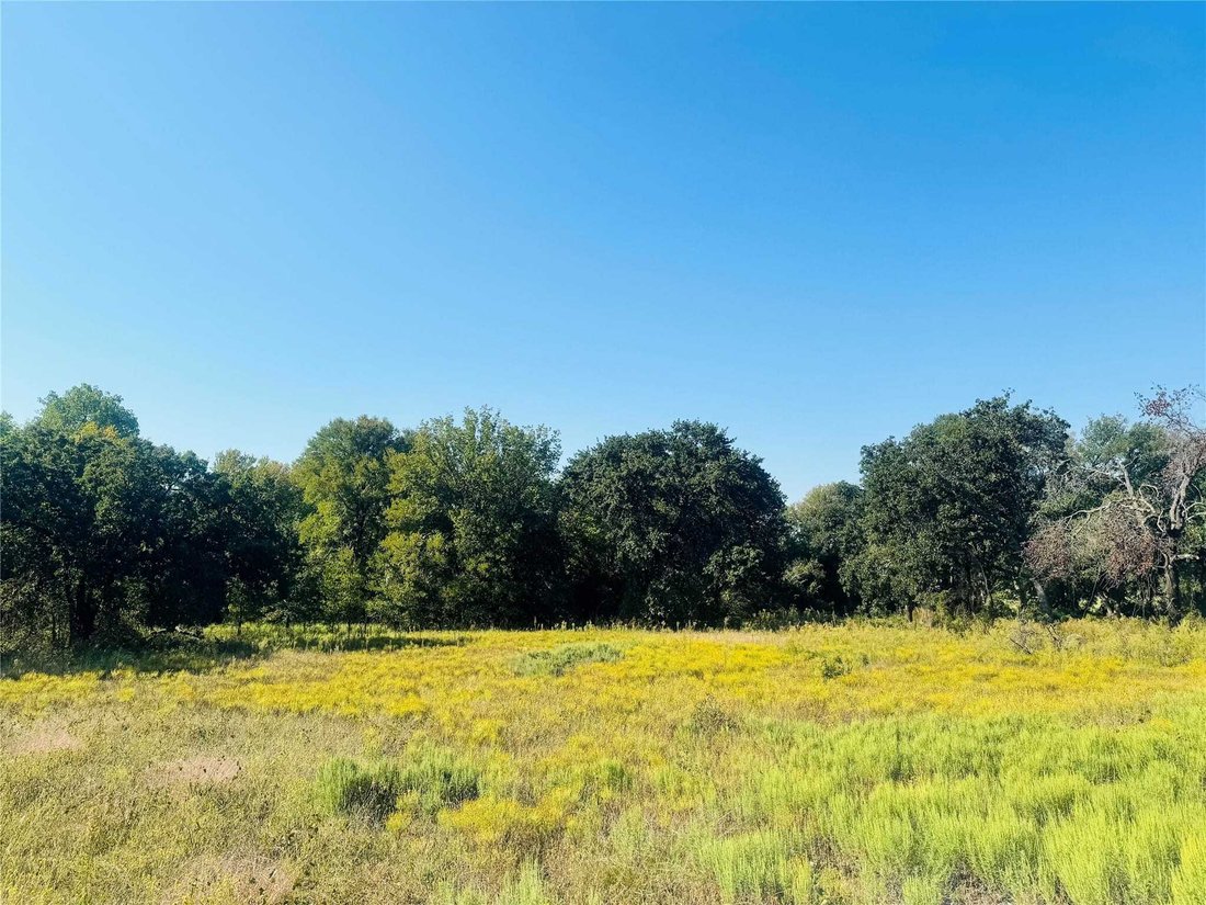 Land in Lantana, Texas, United States 2 - 15610210