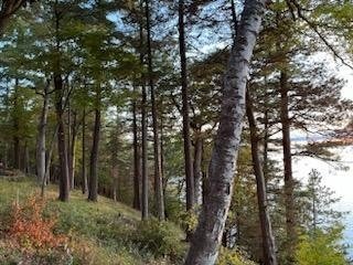 Land in Markesan, Wisconsin, United States 4 - 18332050