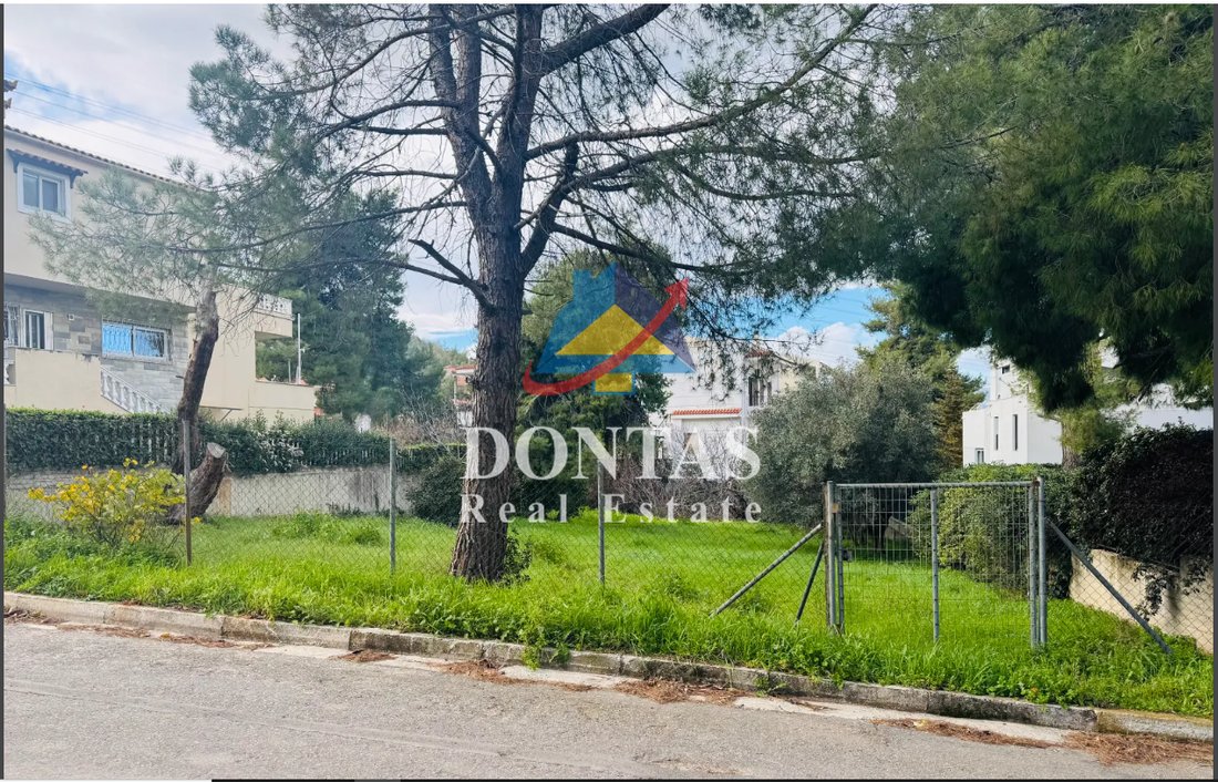 Land in Dionysos, Attica, Greece 2 - 18327463