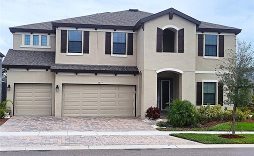 House in Riverview, Florida, United States 1