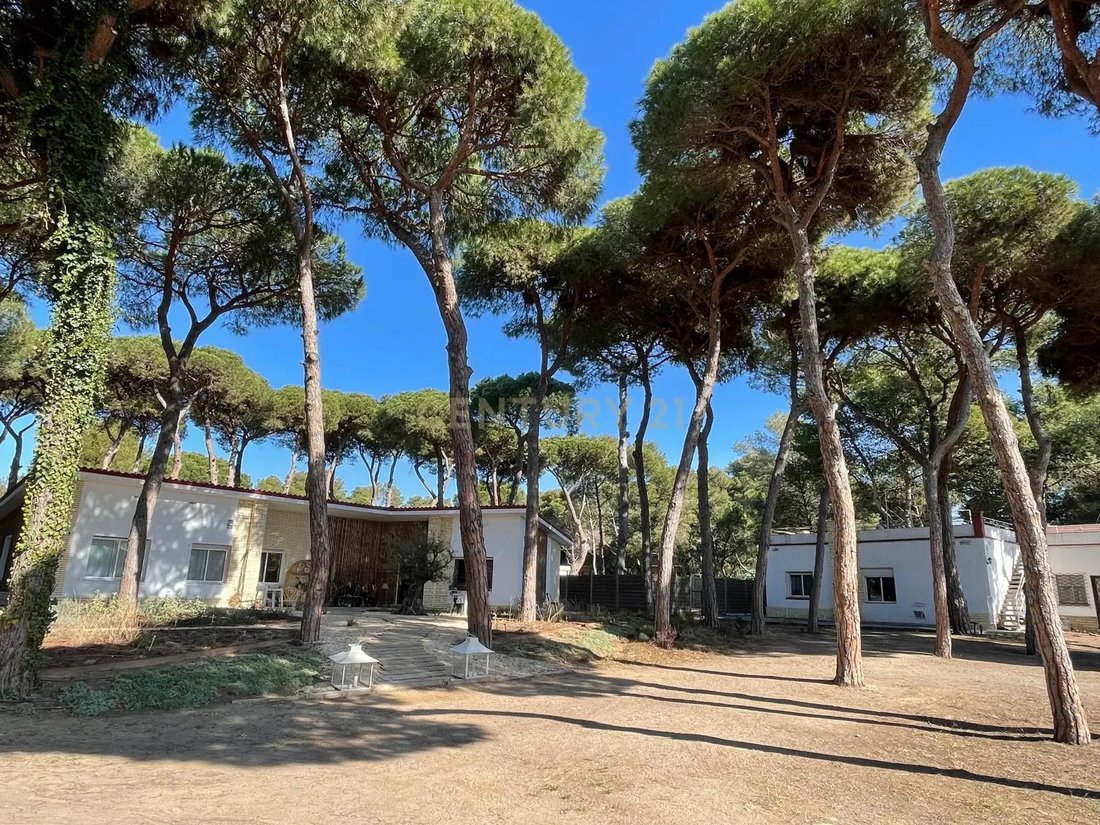 Villa in Gava, Catalonia, Spain 1 - 17667030