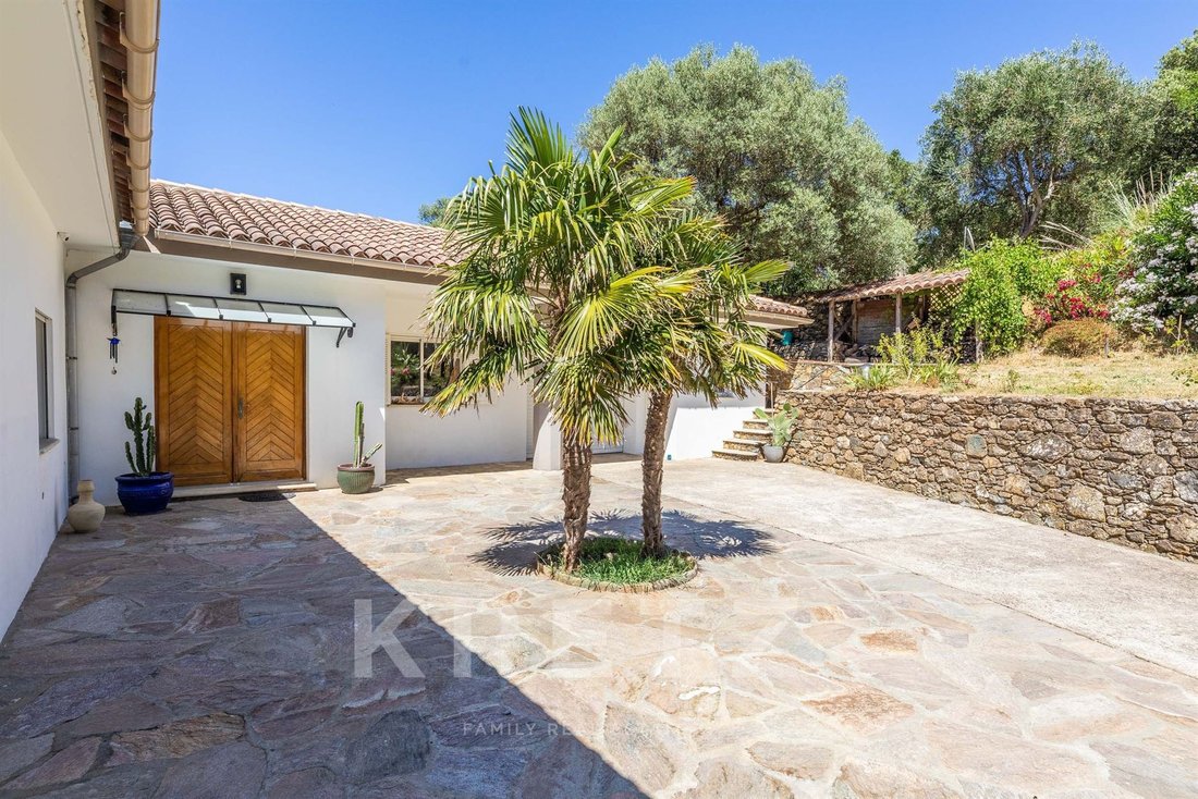 Villa in Luri, Corsica, France 5 - 15903314
