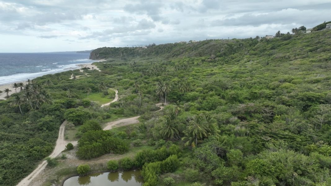 Land in Isabela, Isabela, Puerto Rico 4 - 18330116