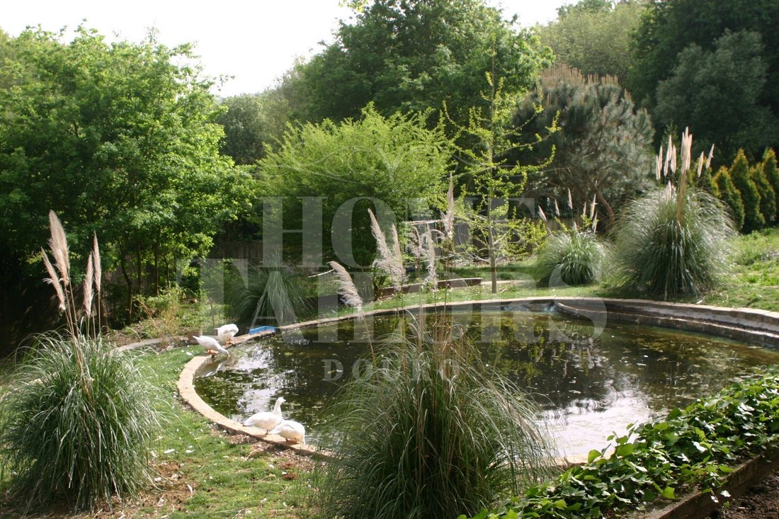 Finca in Santa Maria da Feira, Aveiro District, Portugal 5 - 17970214