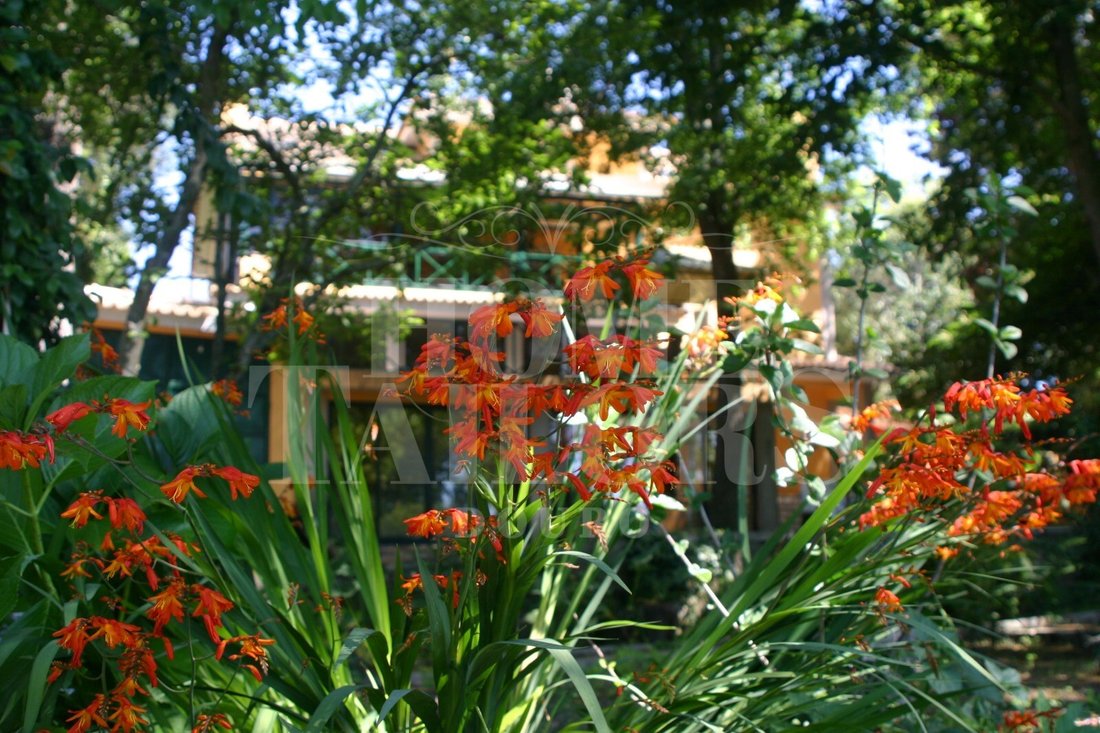 Finca in Santa Maria da Feira, Aveiro District, Portugal 2 - 17970214
