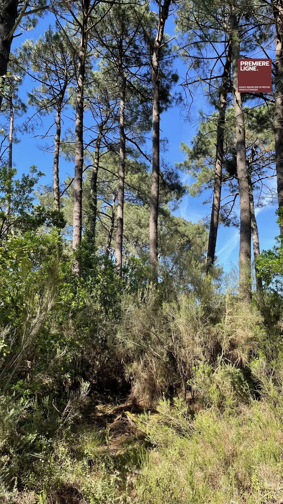 Land in Lacanau, Nouvelle-Aquitaine, France 1 - 18328296