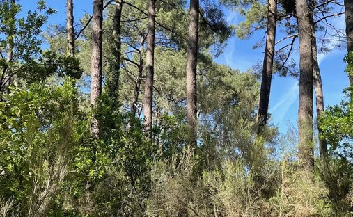 Land in Lacanau, Nouvelle-Aquitaine, France 1
