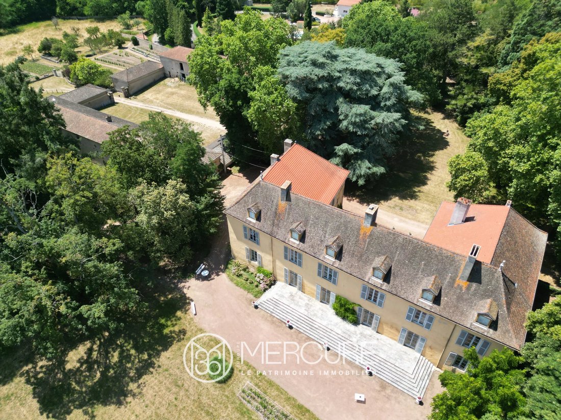 Castle in Roanne, Auvergne-Rhône-Alpes, France 3 - 17662611