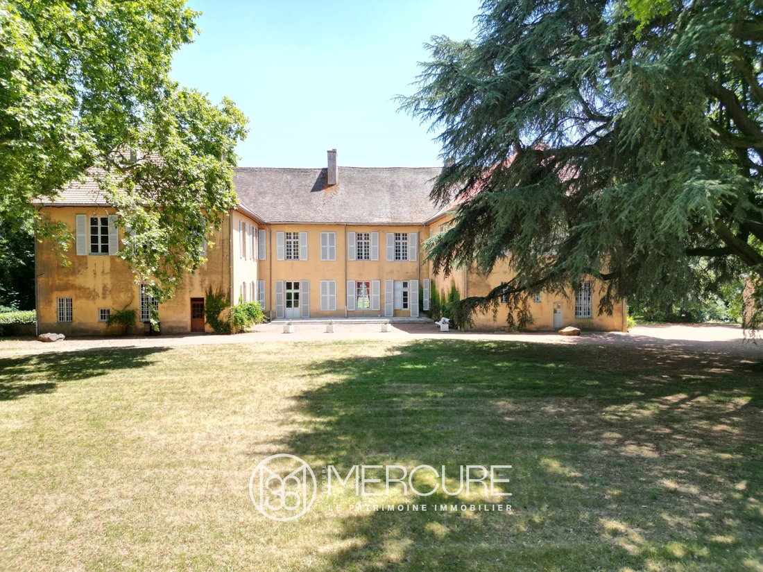Castle in Roanne, Auvergne-Rhône-Alpes, France 4 - 17662611