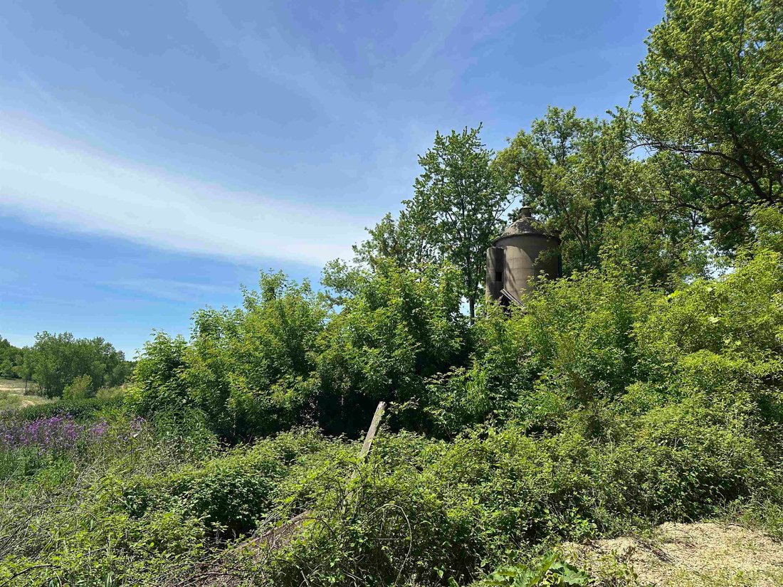 Land in Rio, Wisconsin, United States 3 - 18331570