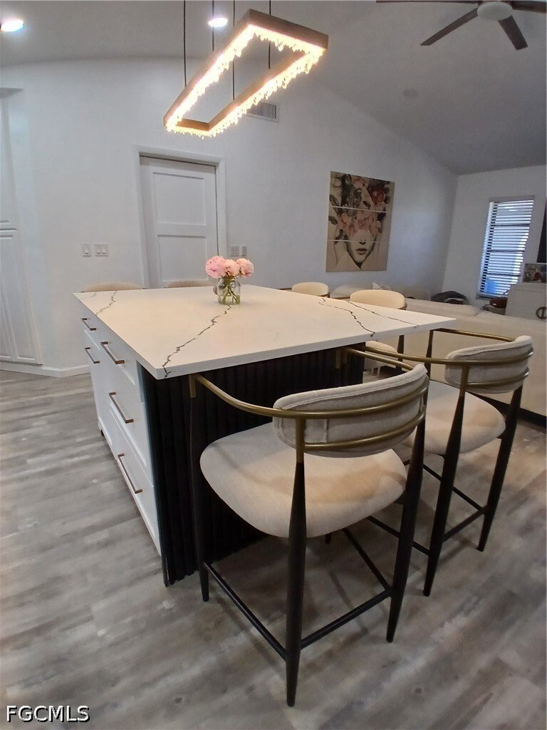 House in Cape Coral, Florida, United States 4 - 18327148