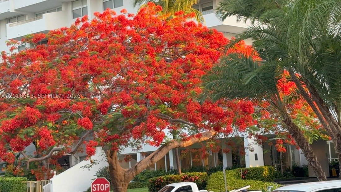 Condo in Key Biscayne, Florida, United States 2 - 17909829