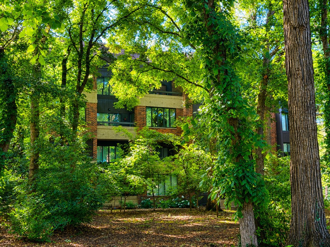 Condo in Hinsdale, Illinois, United States 2 - 18327592