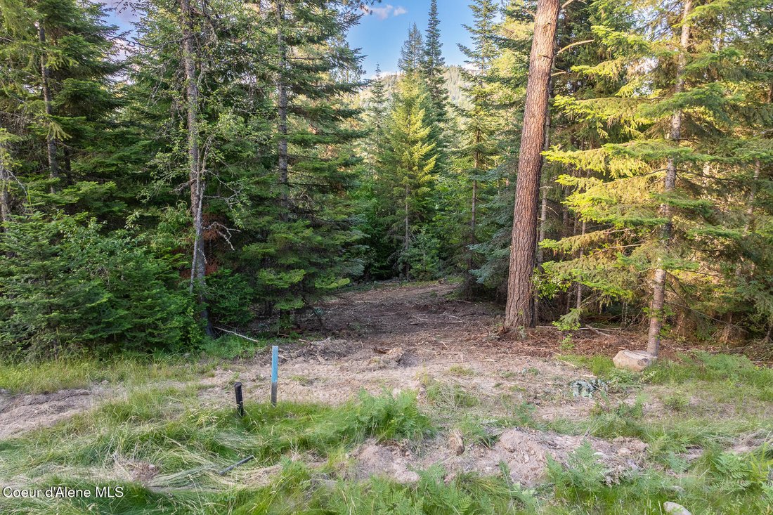 Land in Hayden, Idaho, United States 5 - 18328954