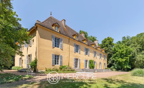 Castello a Roanne, Auvergne-Rodano-Alpi, Francia 1